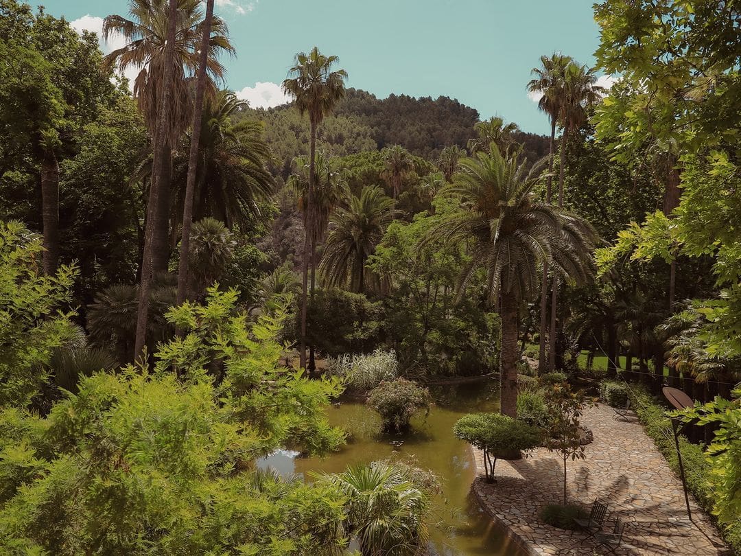 Vista panorámica de la exuberante vegetación en los jardines de Alfabia en Mallorca.